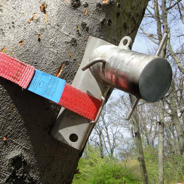 MiniBollard, Poller, graues Metallgerät an einem Baum befestigt mit rotem Gurt und blauem Etikett