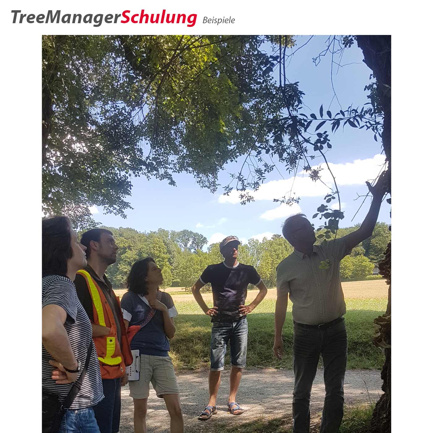 Gruppe von fünf Personen, einer zeigt an einem Baum etwas, im Hintergrund Bäume und blauer Himmel