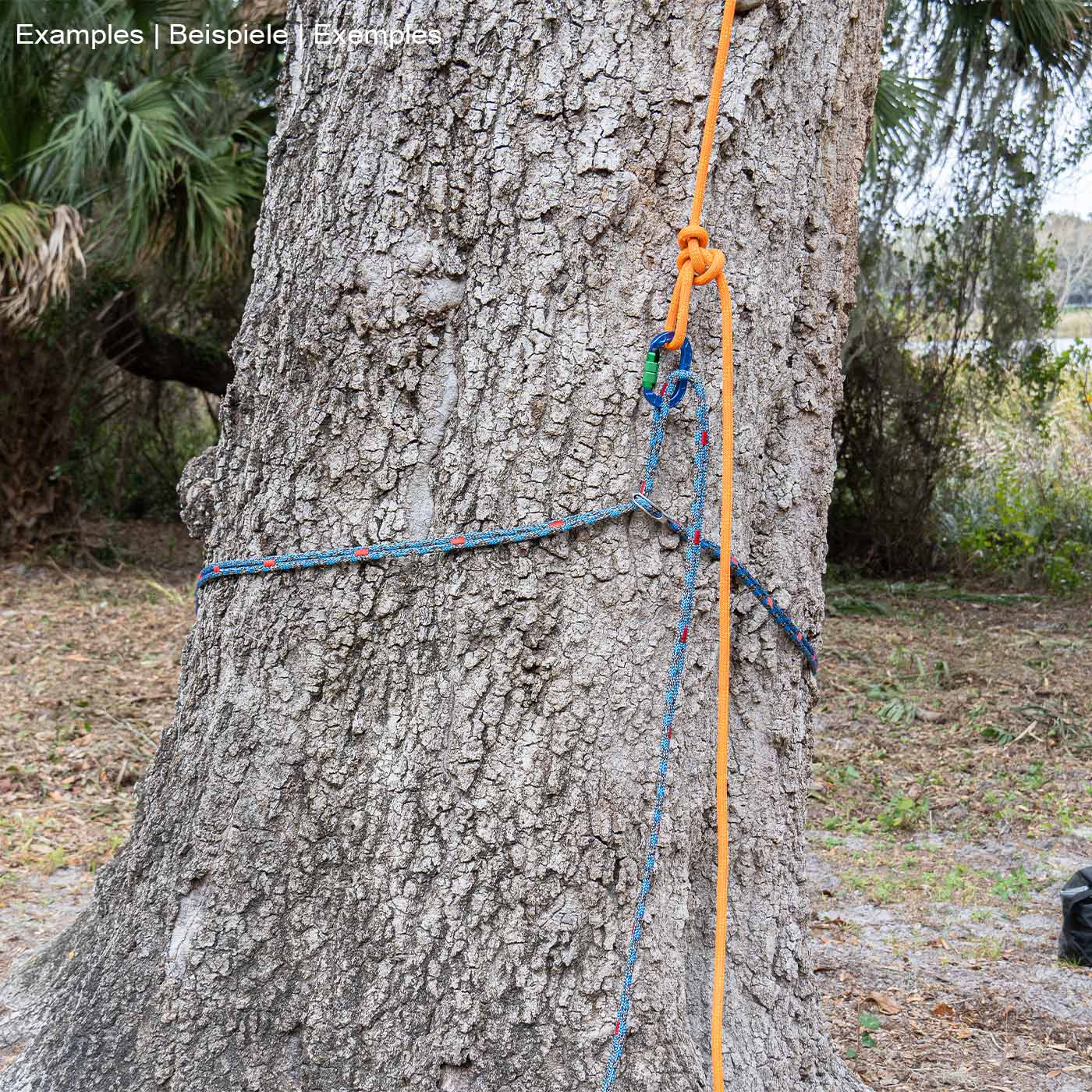 chainANCHOR blau-schwarzes Seil mit roten Markierungen und Metallöse, um einen Baum gewickelt mit orangem Seil und Karabinerhaken befestigt