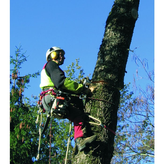 Person mit Schutzhelm und -kleidung klettert an einem Baum, umgeben von grünen Ästen und blauem Himmel
