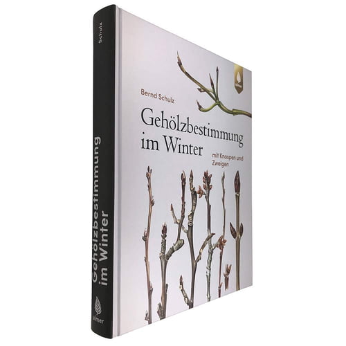 Gehölzbestimmung im Winter von Bernd Schulz, Buchrücken schwarz mit Titel in weißer Schrift und Verlag Ulmer Logo, Buch leicht schräg fotografiert