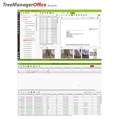 TreeManager Office (weiterer Arbeitsplatz)