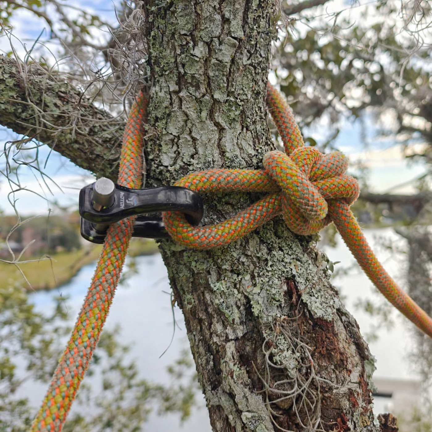 CE Quickie schwarzer Schäkel mit silbernem Bolzen an einem Baumstamm befestigt, durch den ein orange-grünes Seil geführt ist, im Freien mit unscharfem Hintergrund