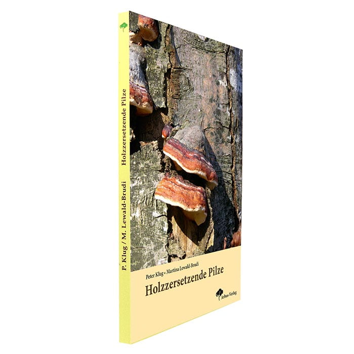 Buch "Holzzersetzende Pilze" von Peter Klug und Martina Lewald-Brudi mit seitlicher Ansicht und gelbem Buchrücken, Arbus-Verlag