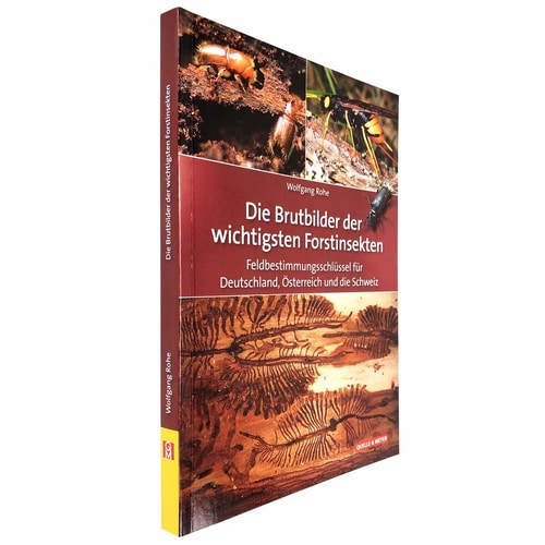 Buch "Die Brutbilder der wichtigsten Forstinsekten" von Wolfgang Rohe, Seitenansicht, mit Bildern von Insekten und Fraßspuren auf Holz, Verlag Quelle & Meyer