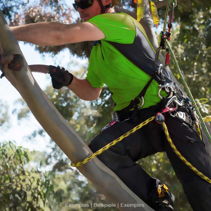 Person in grünem Shirt und schwarzer Hose, die in einem Baum klettert und dabei den Positioner 2 von Climb Art trägt
