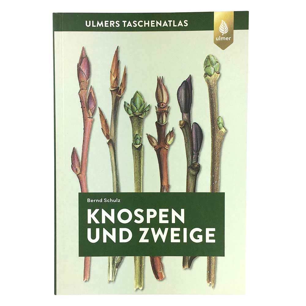 Buch "Knospen und Zweige" von Bernd Schulz, Ulmers Taschenatlas, mit Abbildungen von verschiedenen Knospen und Zweigen auf dem Umschlag