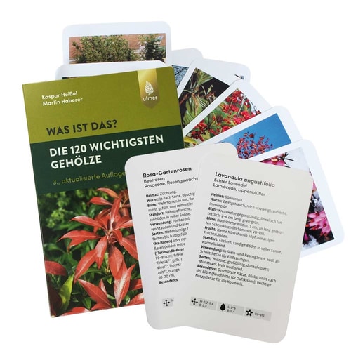 Kartenset "Die 120 wichtigsten Gehölze" von Kaspar Heißel und Martin Haberer, Verlag Ulmer, mit mehreren Pflanzenkarten und grünem Kartonumschlag