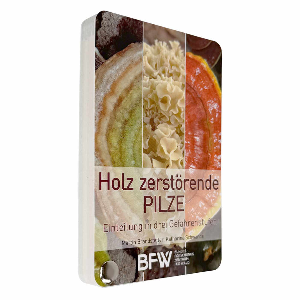 Holz zerstörende Pilze