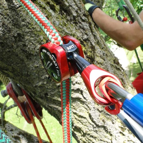 Positioner 2 von Climb Art, roter und schwarzer Kletterpositionierer, der an einem rot-grün geflochtenen Seil an einem Baum befestigt ist