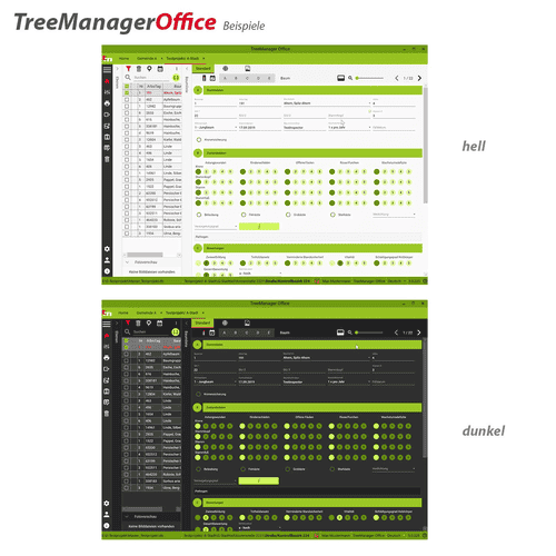 TreeManager Office (weiterer Arbeitsplatz)