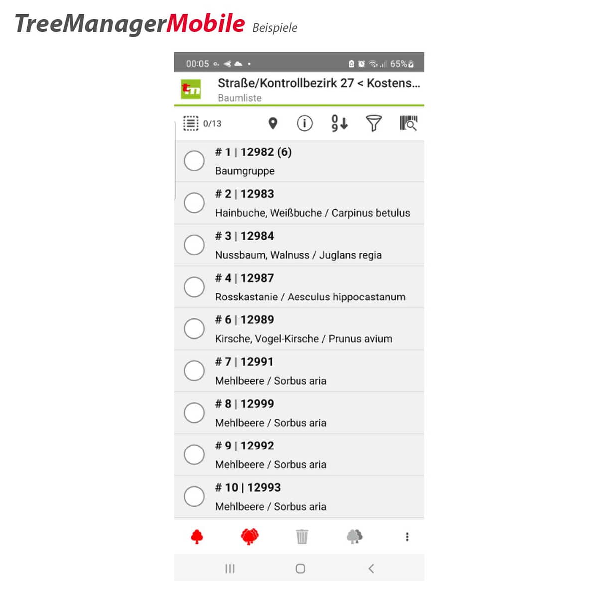 TreeManager Mobile (weiterer Arbeitsplatz)