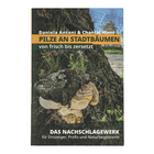 Pilze an Stadtbäumen