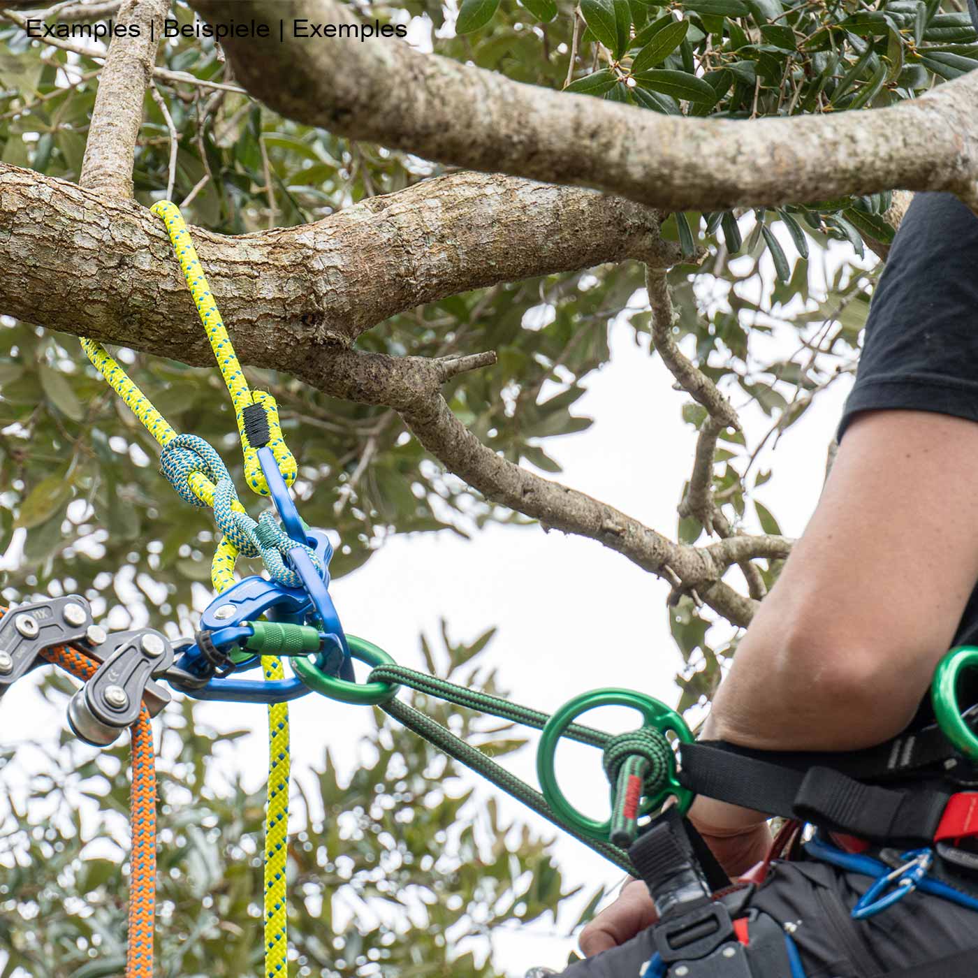 Nahaufnahme einer Person mit Kletterausrüstung und miniGLIDE gelbem Seil mit blauen Karabinern und blauer Umlenkrolle in einem Baum