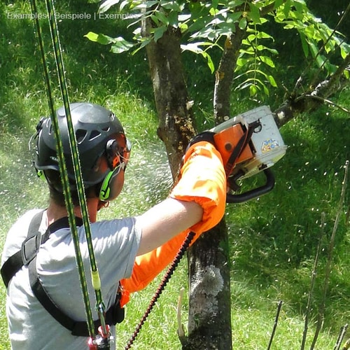 Person mit Schutzhelm und orangen Handschuhen benutzt eine Motorsäge an einem Baum, das antiSHOCK Tool Lanyard ist am Arm befestigt und sichtbar