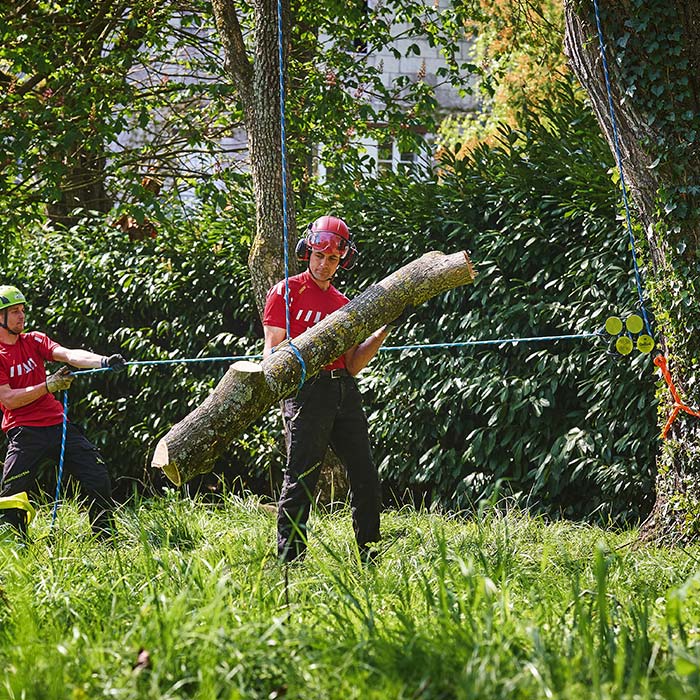 Zwei Personen in roter Arbeitskleidung und Schutzhelmen tragen einen großen Baumstamm, im Hintergrund ist das Hulk Produkt mit Seilen zu sehen