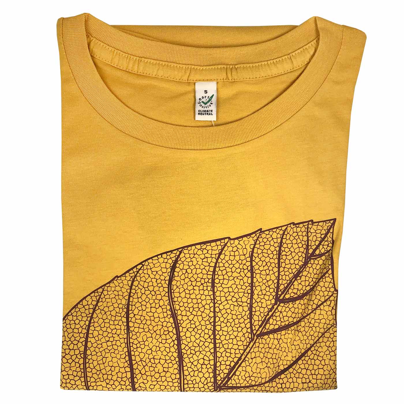 Skeleton Leaf