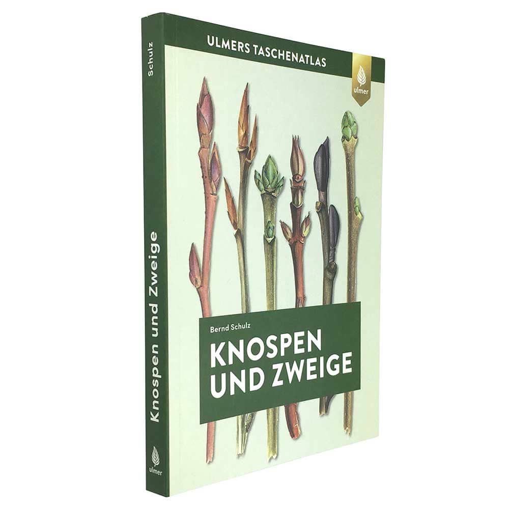 Buch "Knospen und Zweige" von Bernd Schulz, Ulmers Taschenatlas, seitliche Ansicht mit grünem Buchrücken und Abbildungen von Knospen und Zweigen auf dem Umschlag