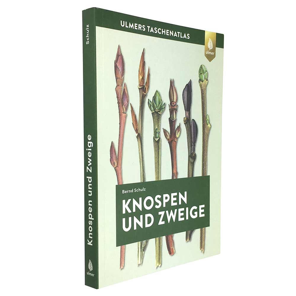 Buch "Knospen und Zweige" von Bernd Schulz, Ulmers Taschenatlas, seitliche Ansicht mit grünem Buchrücken und Abbildungen von Knospen und Zweigen auf dem Umschlag