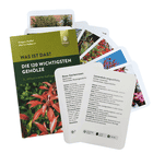 Kartenset "Die 120 wichtigsten Gehölze" von Kaspar Heißel und Martin Haberer, Verlag Ulmer, mit mehreren Pflanzenkarten und grünem Kartonumschlag