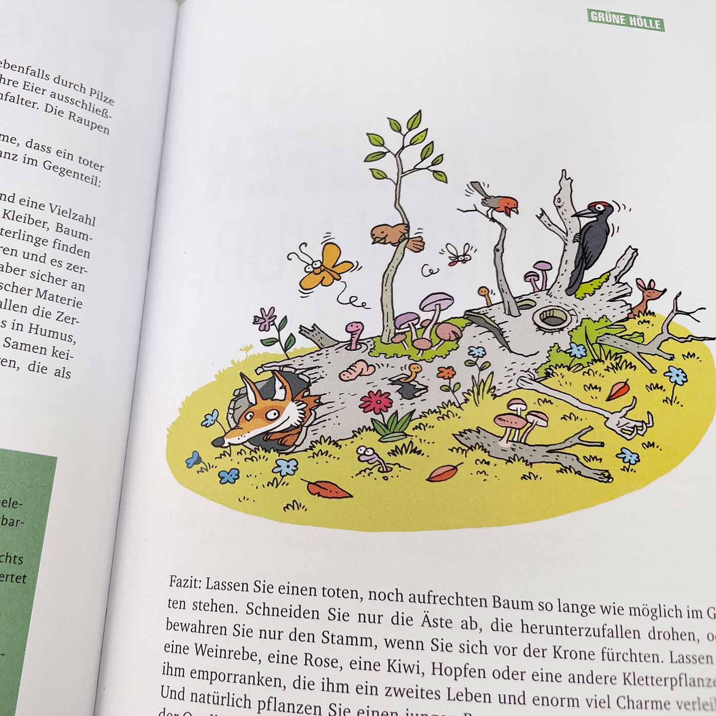 Buchinnenseite mit farbiger Illustration eines toten Baums mit Pilzen, Vögeln, Fuchs und Insekten