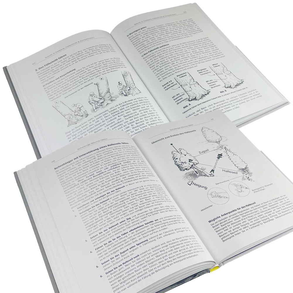 Buch "Die Kunst, einen Baum zu fällen" von Jeff Jepson mit Illustrationen von Bryan Kotwica, geöffnete Seiten mit Text und Zeichnungen zu Fälltechniken