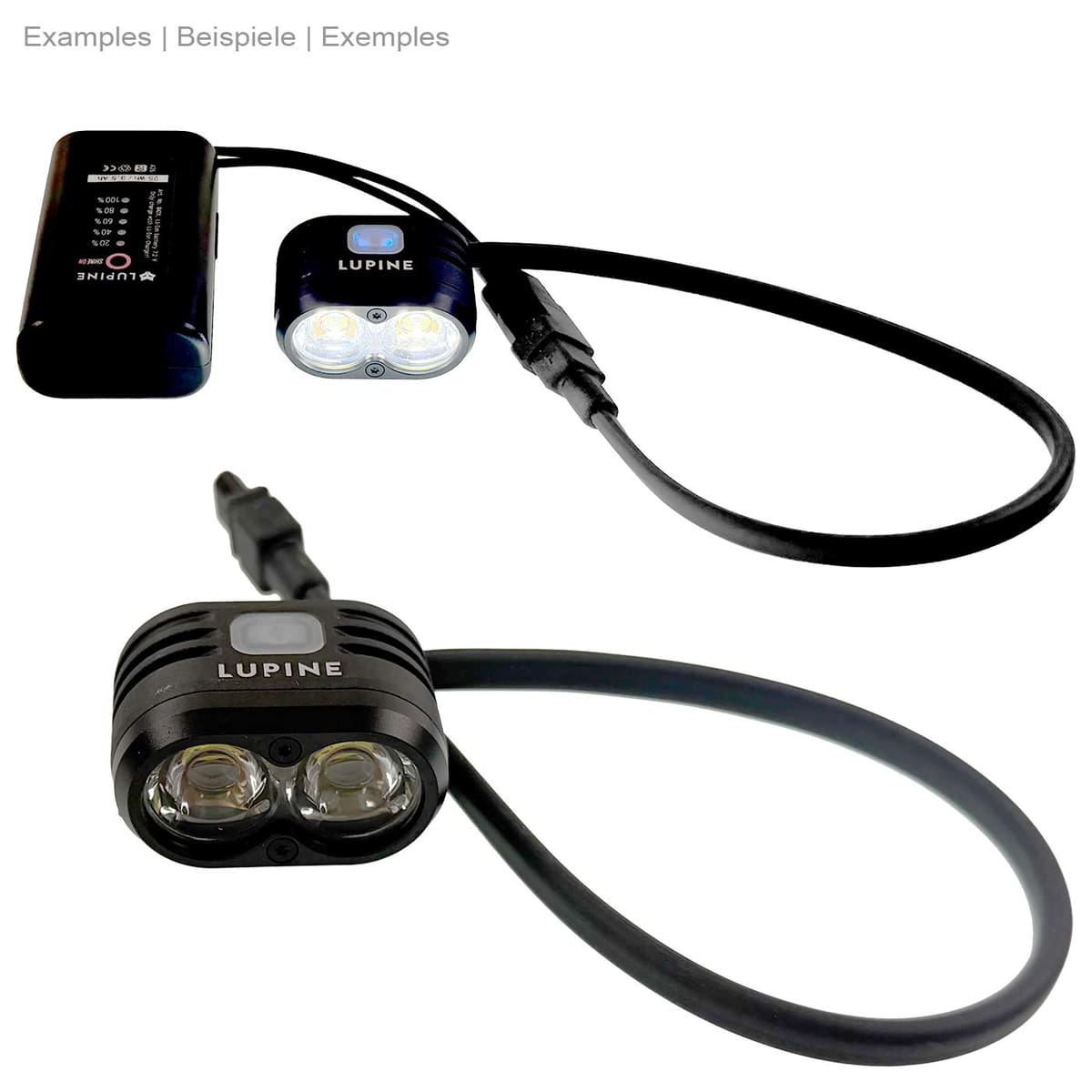 PROTOS® Set Lupine Piko R 4SC