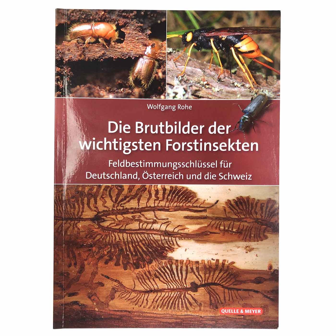 Buch "Die Brutbilder der wichtigsten Forstinsekten" von Wolfgang Rohe mit Bildern von Insekten und Fraßspuren auf Holz, Verlag Quelle & Meyer