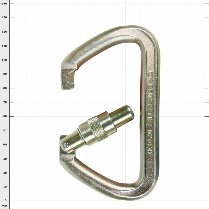 Wizard Screwlock Karabiner aus Metall mit Schraubverschluss, silberfarben
