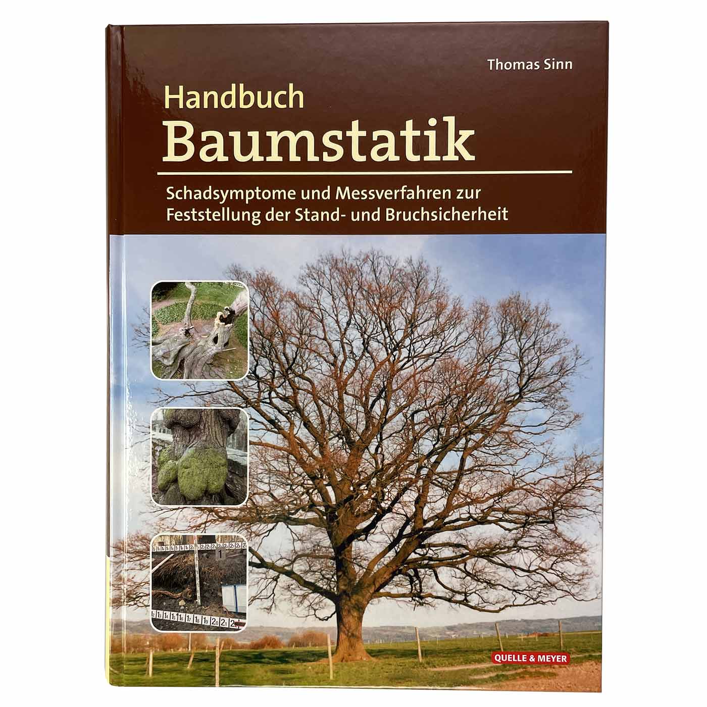 Buch mit braunem und blauem Cover, Titel "Handbuch Baumstatik" von Thomas Sinn, mit Bildern von Baumstämmen und einem großen Baum, Verlag Quelle & Meyer