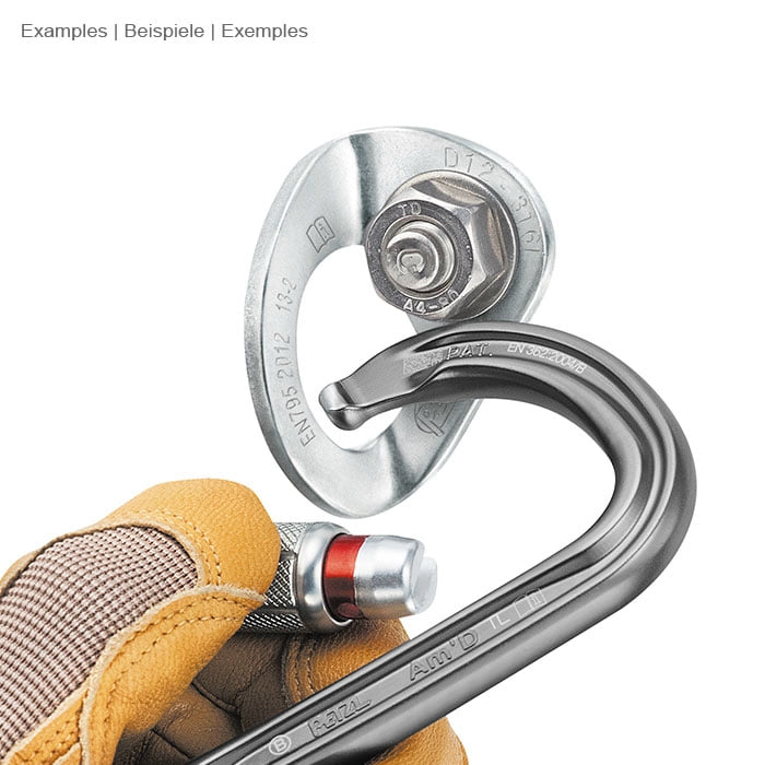 Coeur Bolt Stainless 12