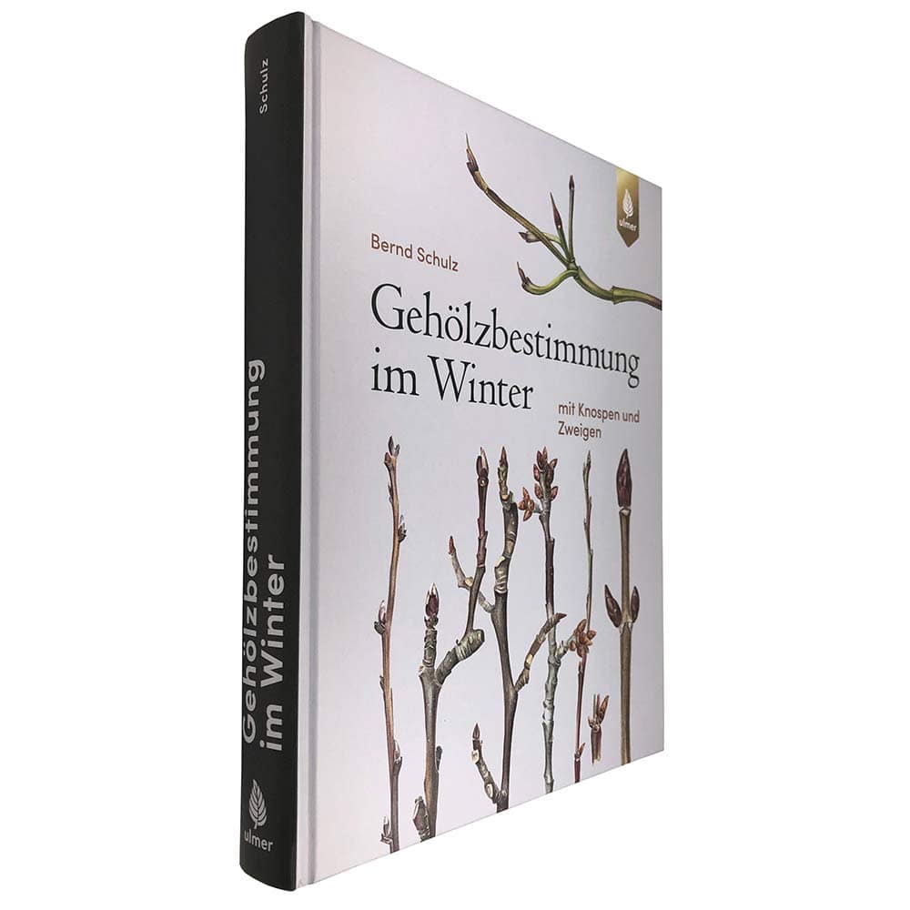 Gehölzbestimmung im Winter von Bernd Schulz, Buchrücken schwarz mit Titel in weißer Schrift und Verlag Ulmer Logo, Buch leicht schräg fotografiert