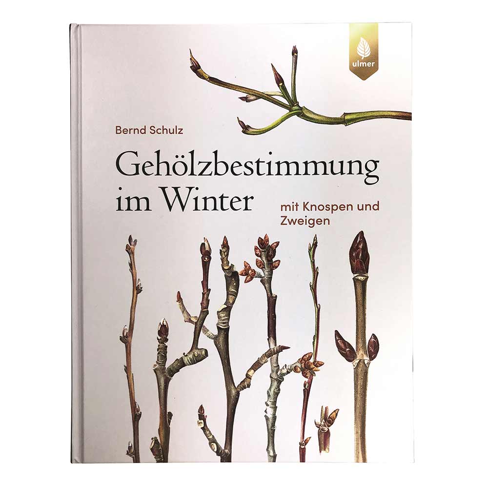 Gehölzbestimmung im Winter von Bernd Schulz, Buch mit Abbildungen von Zweigen und Knospen auf weißem Hintergrund, Verlag Ulmer