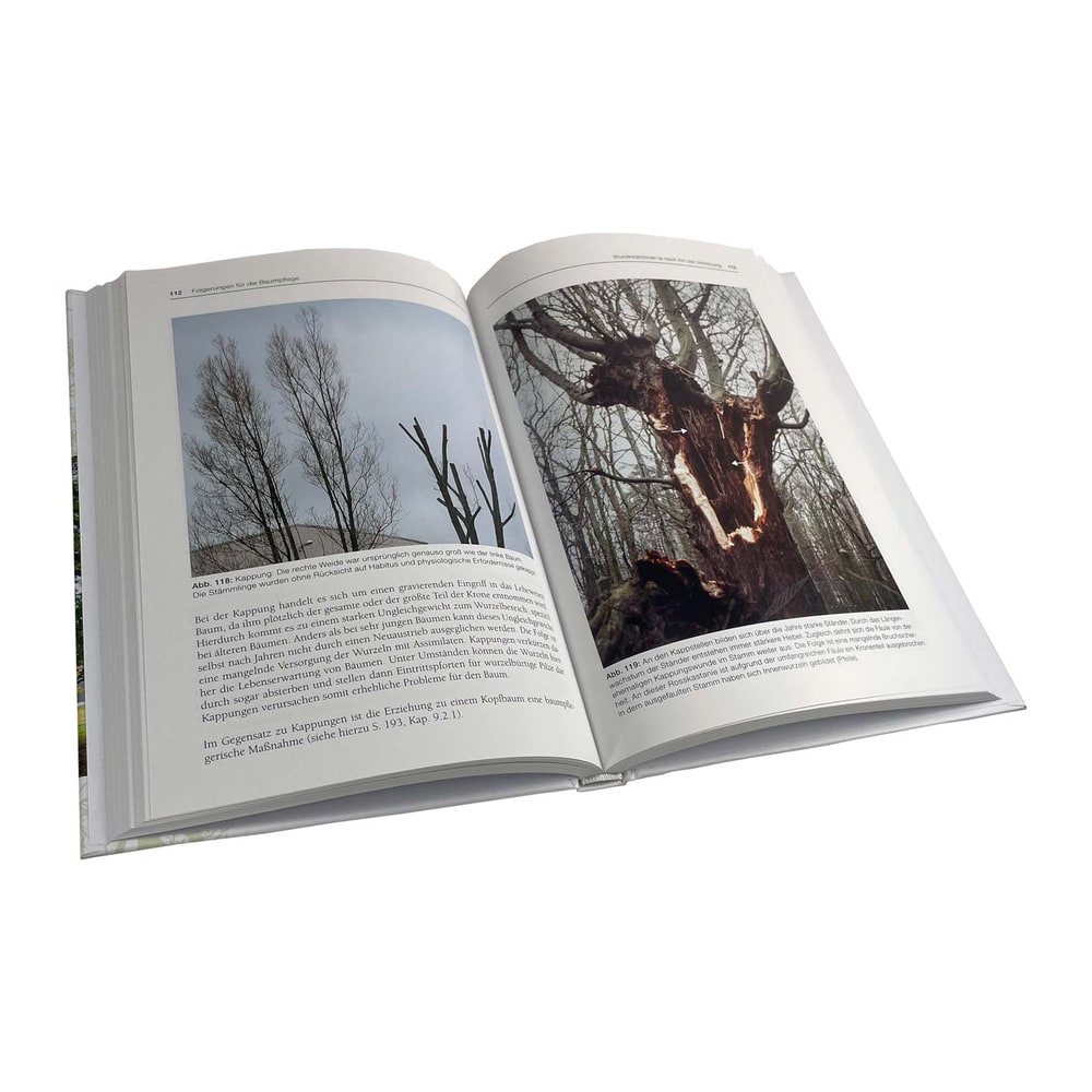 Aufgeschlagenes Buch "Das CODIT Prinzip – Baumbiologie und Baumpflege" mit Text und zwei Bildern von kahlen Bäumen