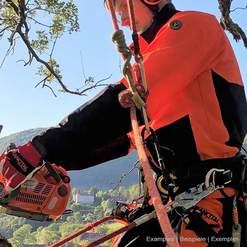 Person trägt Herma Jacke von Francital in orange und schwarz beim Arbeiten mit Kletterausrüstung und Motorsäge